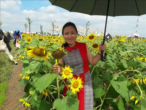 xoan trinh
