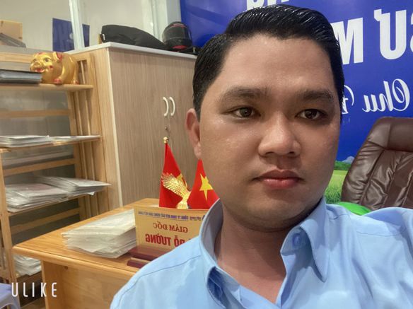 Võ đỗ tường