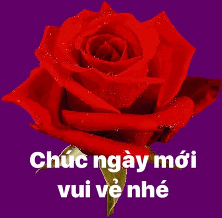 Anh bằng