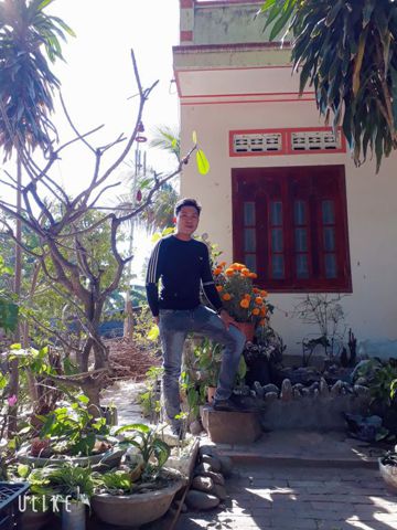 Thông