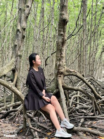 Trinh