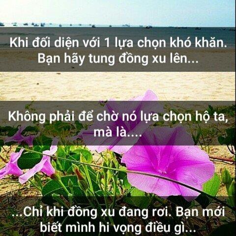 琼 摇
