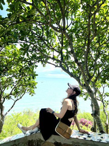Linh Vũ
