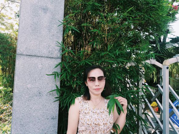 Phụng