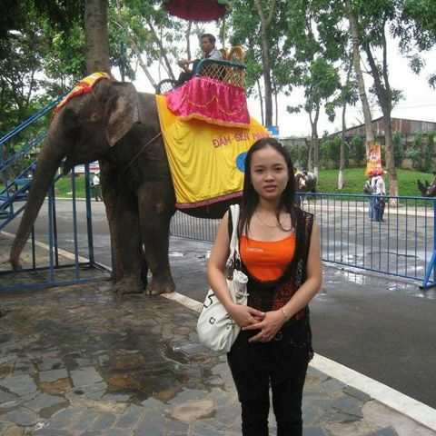 Hồng Nhung