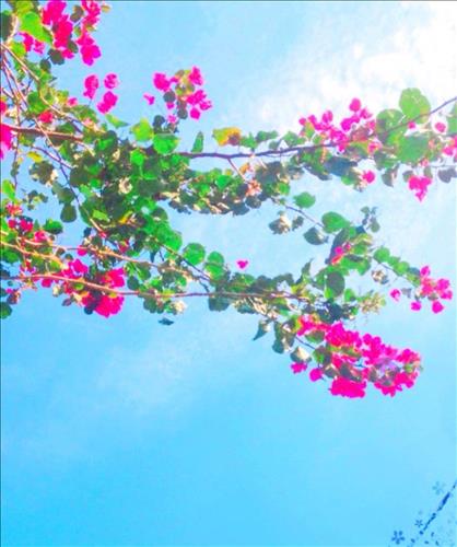 Ngọc