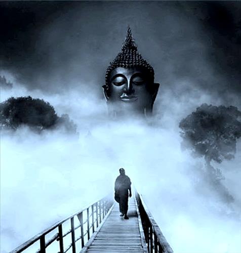 Boy phiêu bạt