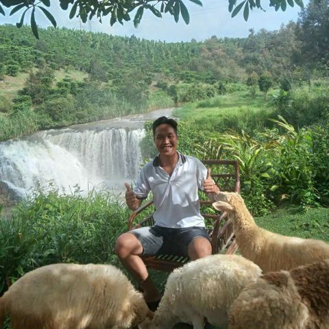 Thái