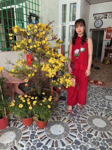 Trinh