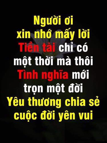 Timban4phuongqn