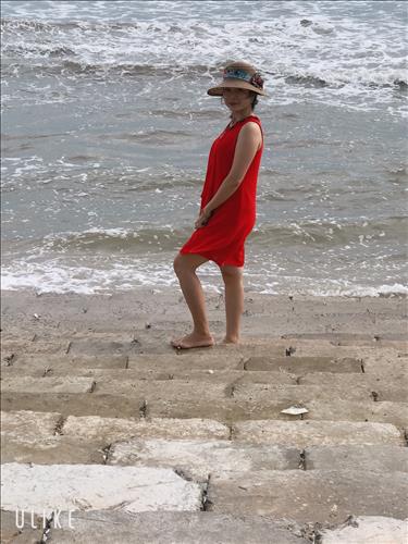Hoa hong