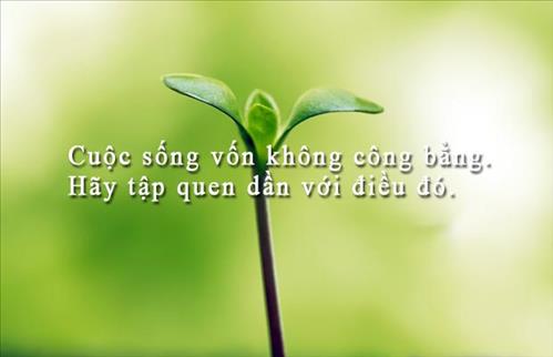 NHỊP ĐẬP