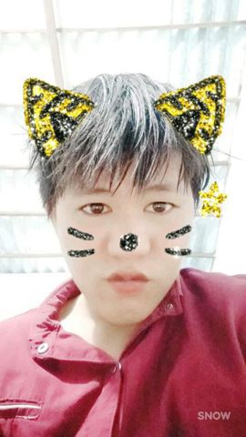 Tuấn anh