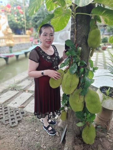Cam tien