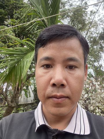 Ngô doãn diện