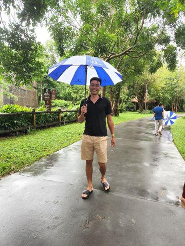 Trần