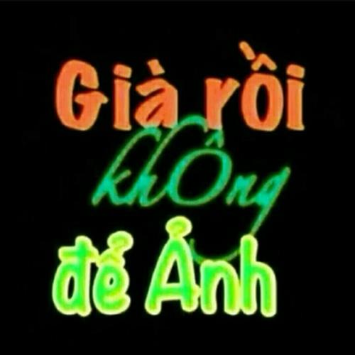 Bảo Bảo