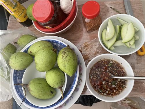 Mẫu đơn
