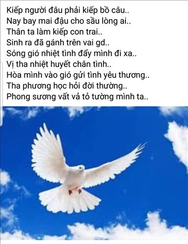 Tìm Em ..