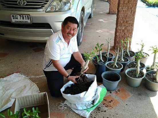 Trần Dương