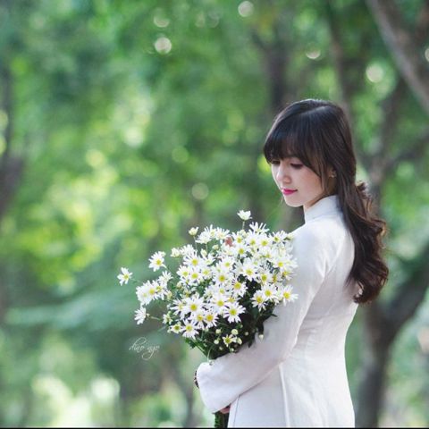 Linh Nguyễn