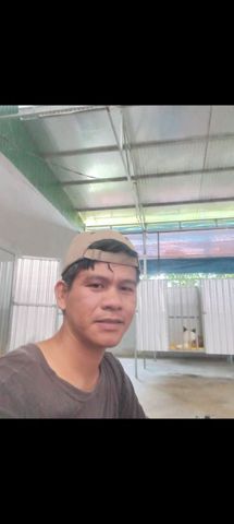 Hải