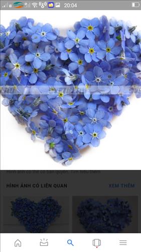 Huỳnh Ngoc oanh