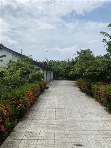 Massage cho Nữ