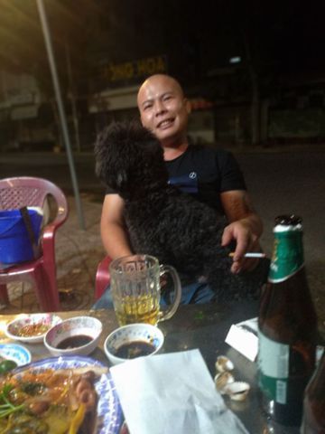 Nghị