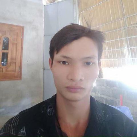 Tùng