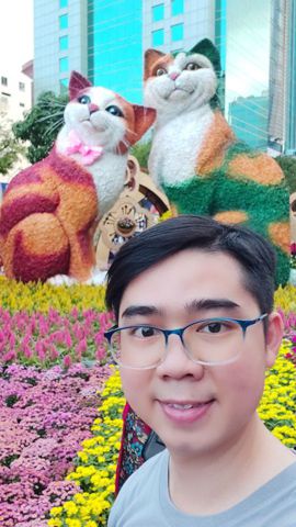 Tommyxu