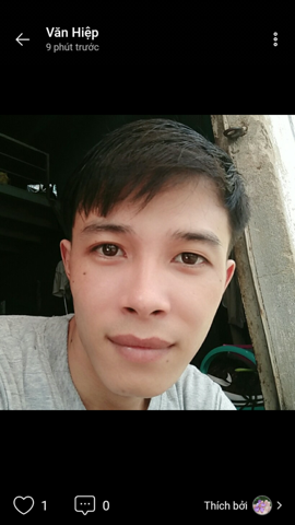 Họa Tâm
