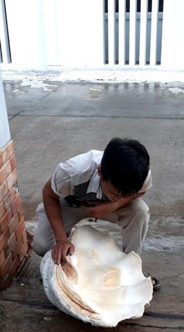 Thanh việt