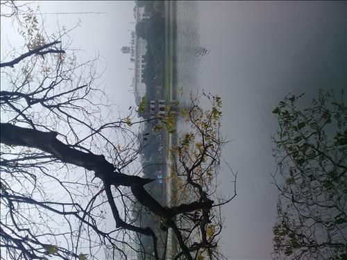 Duong Quang
