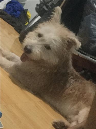 Đông