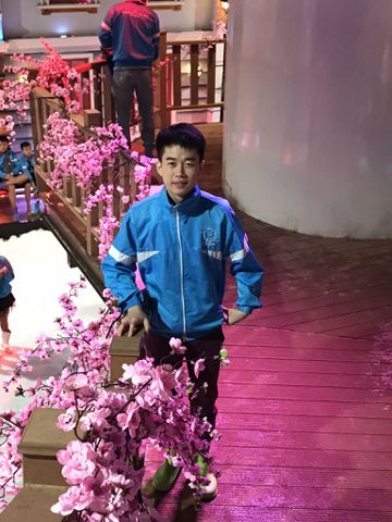 Piglet