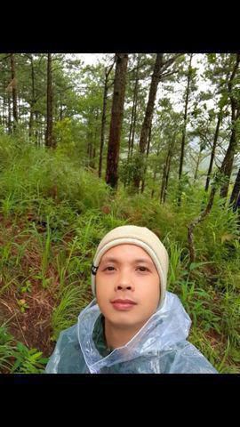 Minh Phong