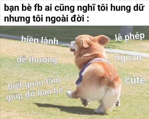 Linh Linh Tìm bạn bè mới
