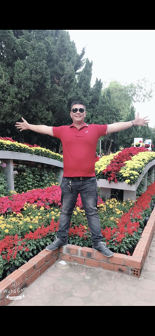 Hoàng việt