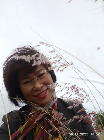 Hoa Muống Biển