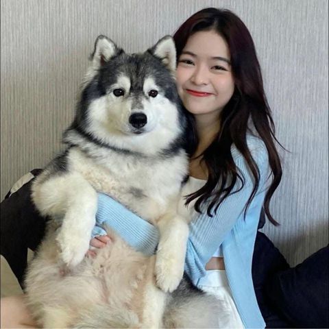 Xuân xuân