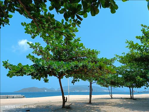 Đừng cho lời hứa hẹn