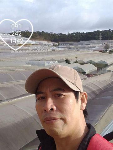 phong