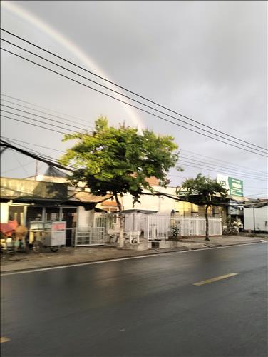 Tùng