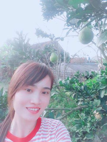 Tuyết