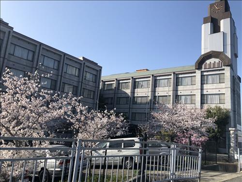 Trương Trung Hải