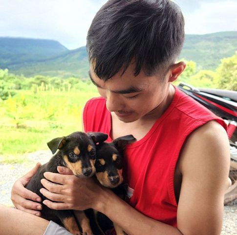 Thanh Phong