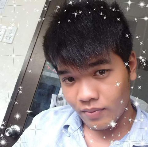 Gấu