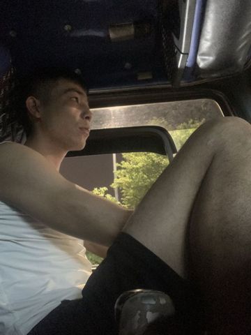 Cung