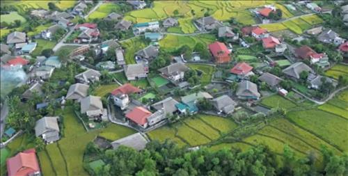 Hoài Thanh 75